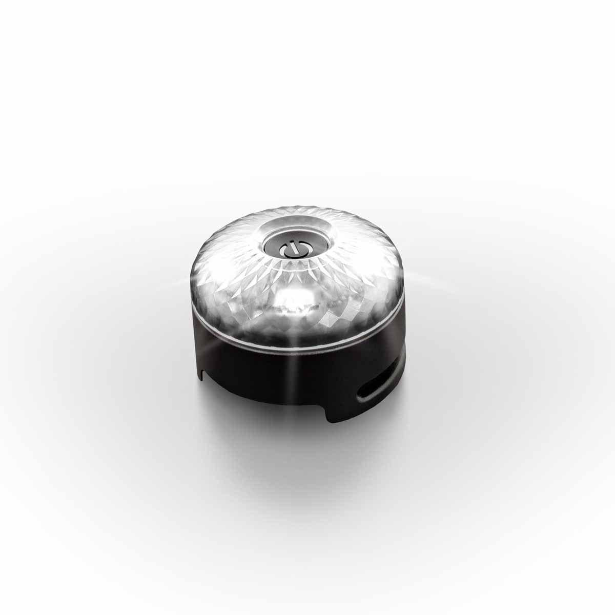EzyDog Go2 Dog Light Multicolour