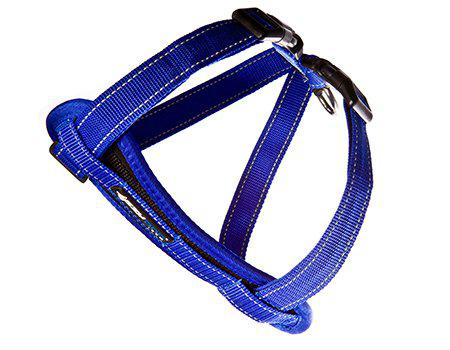 EzyDog Sele Neoprenblå S 6-10 kg 'Promenad/Bilsele'