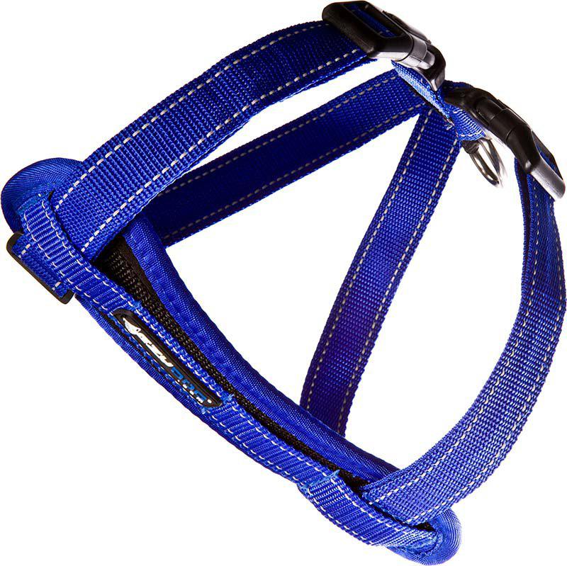 EzyDog Sele Neoprenblå XL +35 kg 'Promenad/Bilsele'