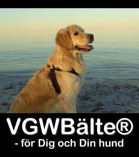 Vgw Bälte Extensionsvart XL 74-83 cm Bröstomfång