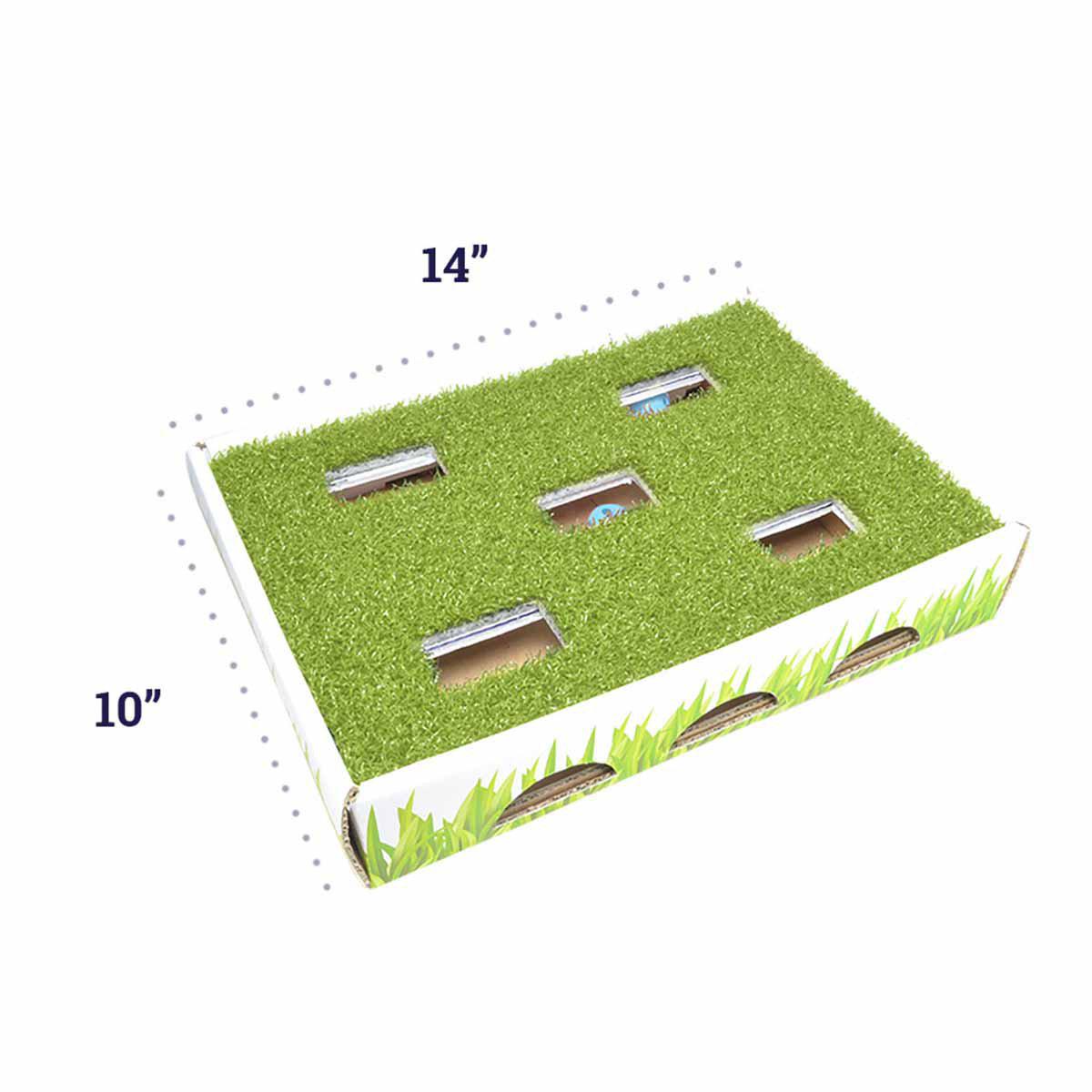 Oh Grass Patch Hunting Box