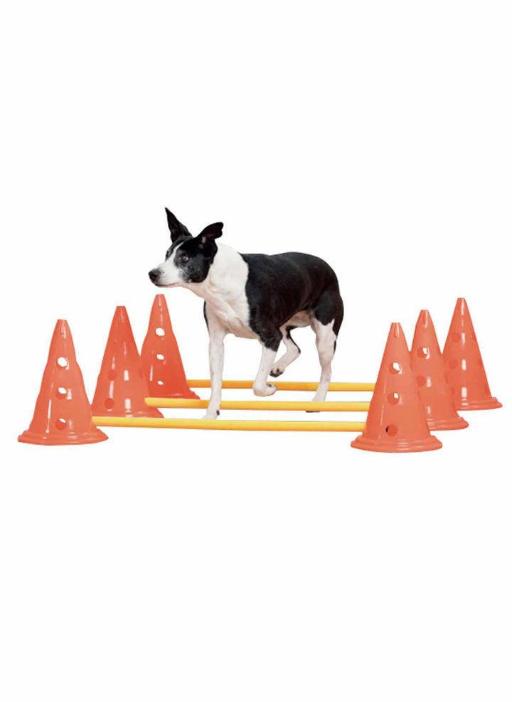 Agility Hinder Med Koner 30 cm