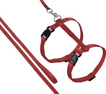 Sele Med Koppel ställbar Röd 10 mm × 110 cm