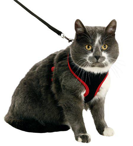 Kattsele Nät Med Koppel Kattunge S Svart/röd 10 mm × 108 cm