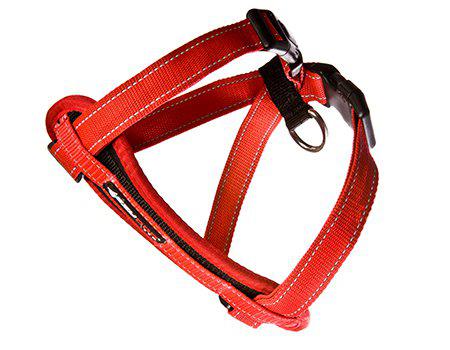 EzyDog Sele Neoprenröd S 6-10 kg 'Promenad/Bilsele'