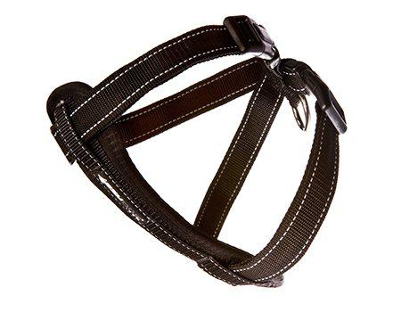 EzyDog Sele Neoprensvart XXS 1-3 kg 'Promenad/Bilsele'