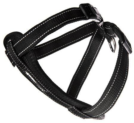 EzyDog Sele Neoprensvart XXL kg 'Promenad/Bilsele'