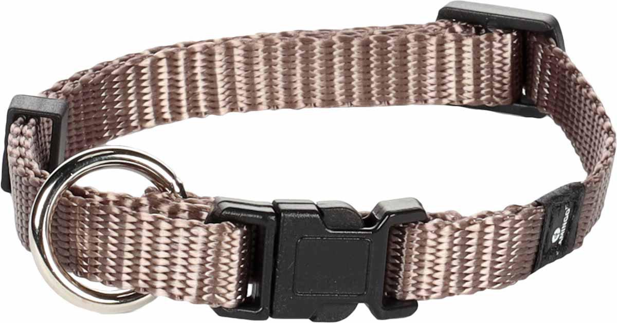 Halsband Nylon Grå 10 mm × 20-35 cm 'klickfäste'