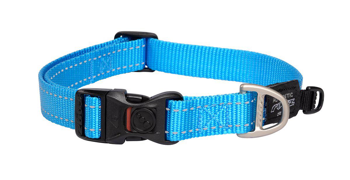 Rogz Halsband Utility L Turkos 20 mm 34-56 cm