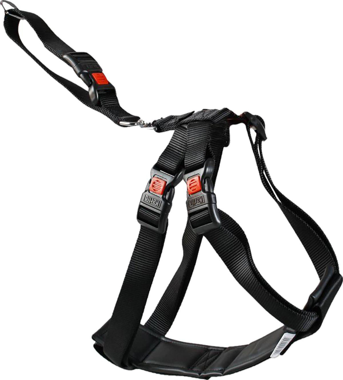 Flamingo Bilsele Xs25-40 cm
