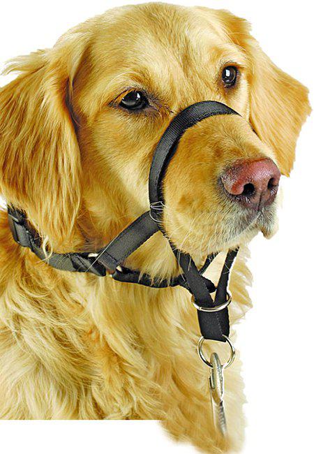 Nossele Pawise Str 7