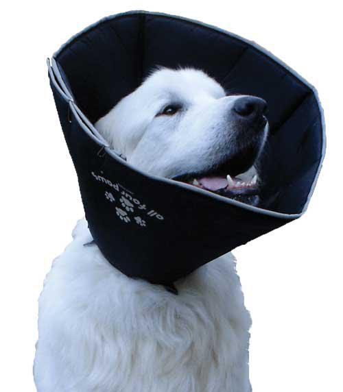 Comfy Cone 25 cm Djup Krage L Halsomfång 35.5-56 cm