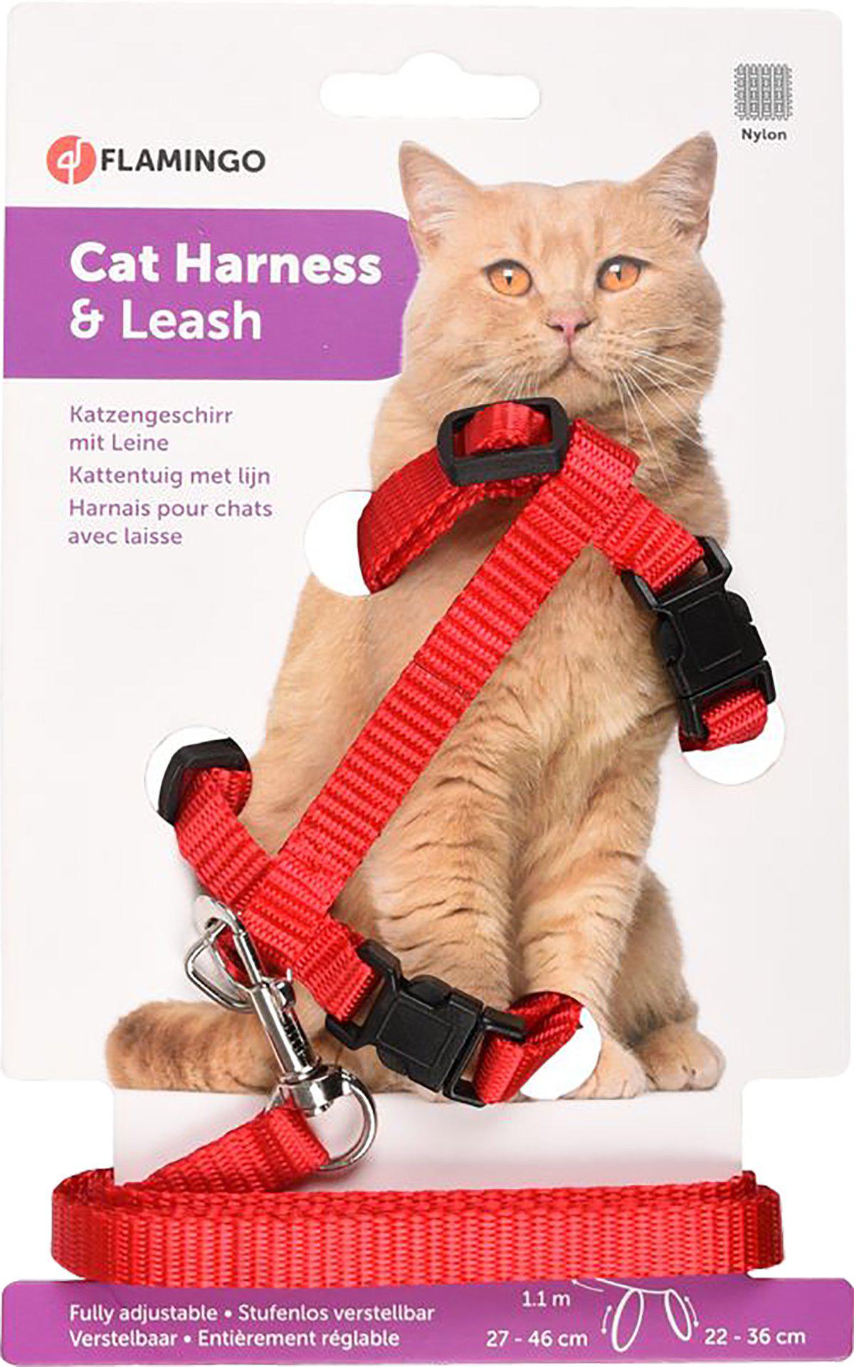 Kattsele Med Koppelkattunge Röd