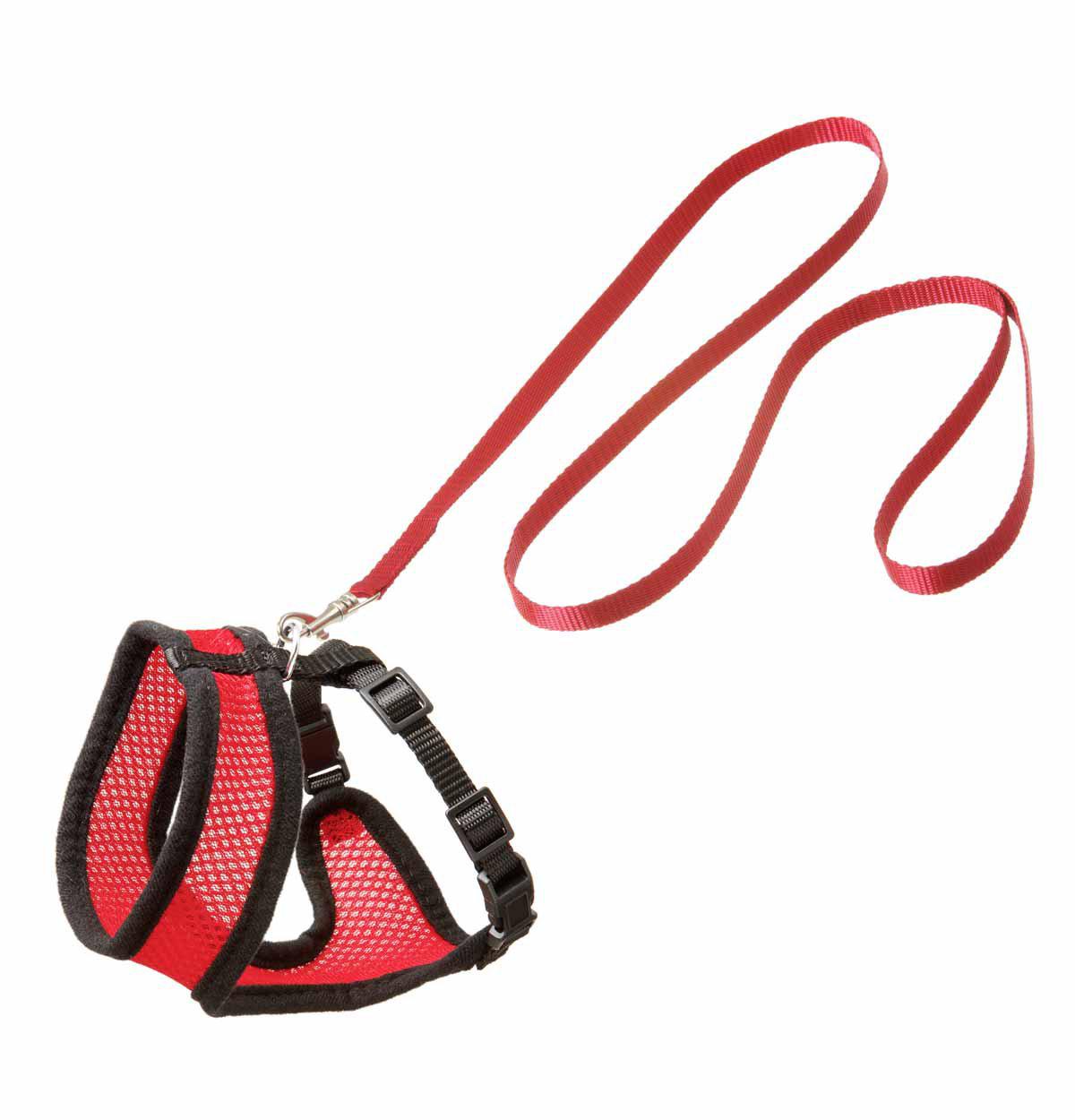 Kattsele Nät Med Koppel Kattunge S Röd/svart 10 mm × 108 cm