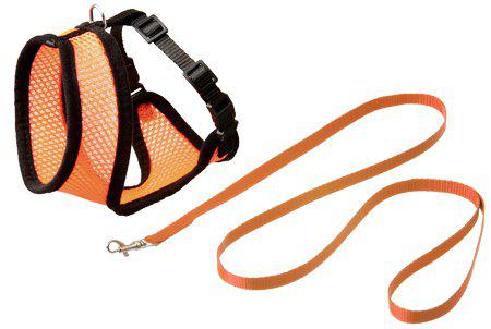 Kattsele Nät Med Koppel Kattunge S Orange/svart 10 mm × 108 cm