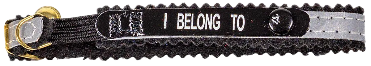 Alac katthalsband med helreflex, svart foder och I Belong To-märkning