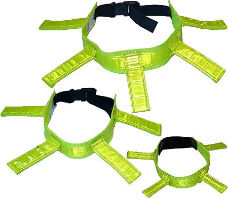 Alac Jakthalsband med reflexflärpar 35 cm – transparent produktbild