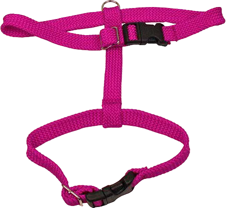 Alac Kattsele cerise 15 mm – transparent produktbild
