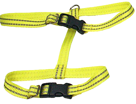 Alac Kattsele gul reflex 15 mm – transparent produktbild